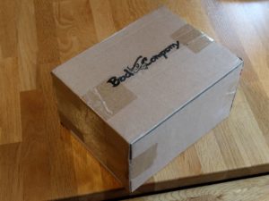 Bad Company Premium Liegestützgriffe Verpackung